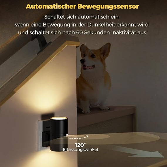 Exklusives Steckdosenlicht